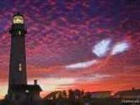 پربازدیدترین عکس های 2013