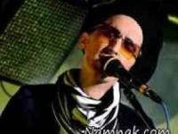 مرتضی پاشایی