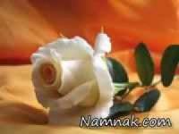 شخصیت شناسی با هدیه