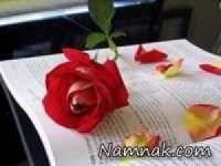 اس ام اس عاشقانه - سری 19