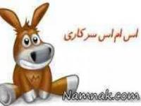 اس ام اس سرکاری