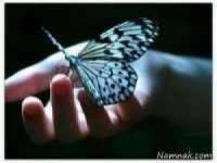 اس ام اس زیبا