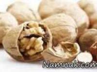 گردو
