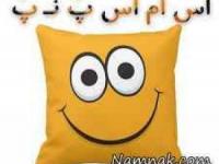 اس ام اس پ ن پ