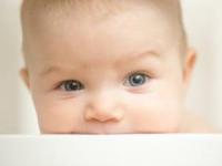 حافظه نوزاد