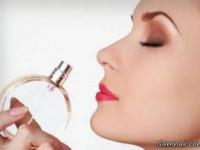 شخصیت شناسی با حس بویایی