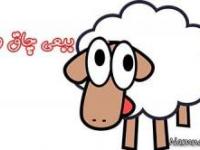 ببعی کوچولو