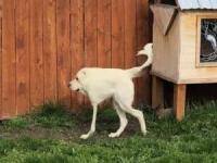 تصاویر پانوراما