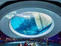 برترین سازه های جهان