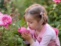 بوهای خوب