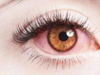 حقایق جالب چشم