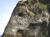 صخره های شبیه به حیوانات