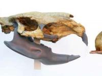 ترسناک ترین حیوانات