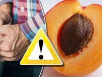 خوردن هسته زردآلو