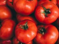 مشخصات گوجه فرنگی خوب