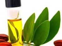روغن جوجوبا