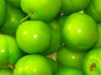 خواص گوجه سبز