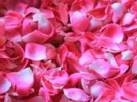 خواص گل محمدی