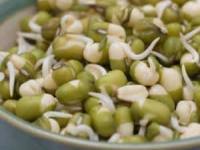 خواص جوانه ماش