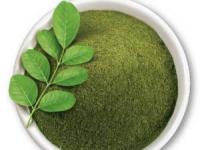 خواص گیاه مورینگا