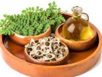 روغن مورینگا