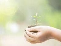 روز درختکاری در جهان