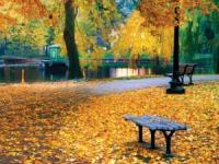 اس ام اس پاییز