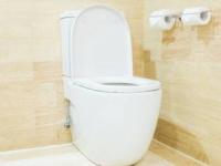 روز جهانی توالت