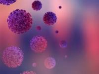 کرونا در زمستان