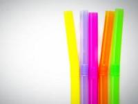 روز جهانی نی