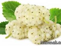 توت در بارداری