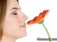 حس بویایی