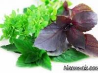 دمنوش ریحان