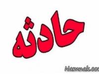 راننده قاتل