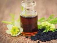 fennel flower oil