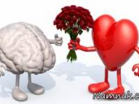 مغز عاشق