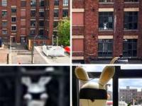 تصاویر وحشتناک و جالب