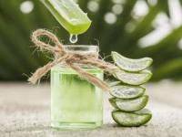 فواید آلوئه ورا برای پوست