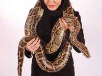 آزاده زارعی