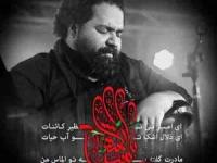 رضا صادقی