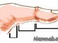 کف بینی با بند انگشتان