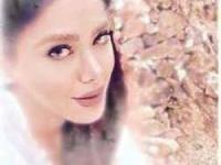 مزار پریوش اکبرزاده