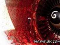 مرگ هولناک خدمه هواپیما