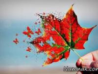 اس ام اس آرزو