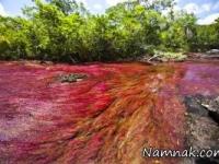 چشمه هفت رنگ