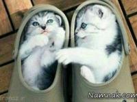 عکس های خنده دار