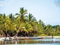 دزدان دریایی