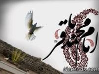 محمد باقر