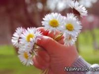 دلنوشته زندگی