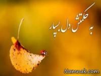 جملات بزرگان
